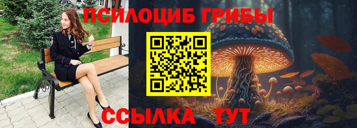 Галлюциногенные грибы Psilocybe  Вход с VPN  Шарыпово  Псилоцибиновые грибы Psilocybine cubensis 