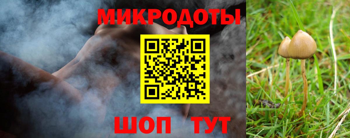 Галлюциногенные грибы Psilocybine cubensis Шарыпово